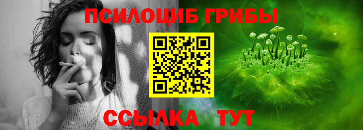 Псилоцибиновые грибы Psilocybe Южно-Сахалинск